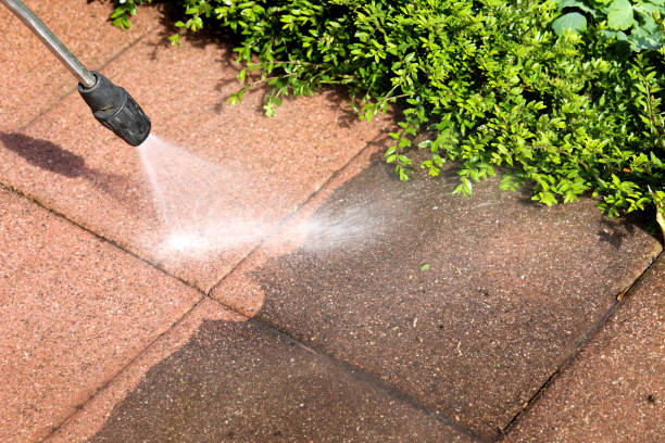 Best Roof Pressure Washing  in Marshall, MO